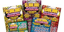Woman claims top prize of $500,000 with the New Flamingo Multiplier Game!